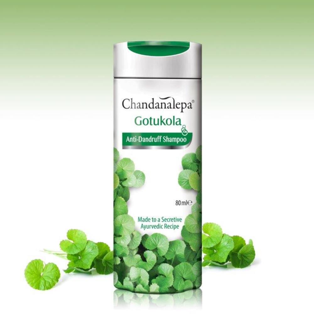 All - CHANDANALEPA Shampoo Gotukola Anti Dandruff 180ml